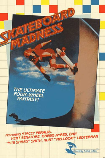 Poster of Skateboard Madness