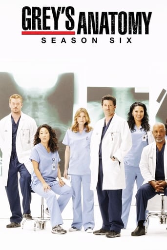 Portrait for Grey's Anatomy - Season 6