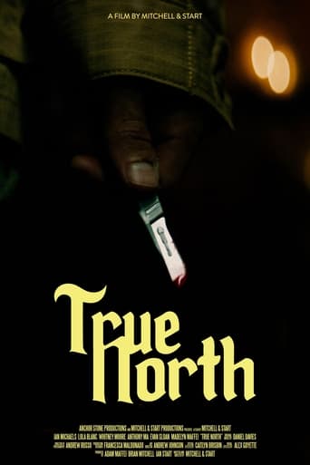 Poster of True North