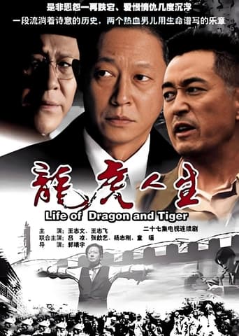 Poster of 龙虎人生