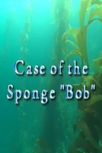 Poster of Case of the Sponge "Bob"