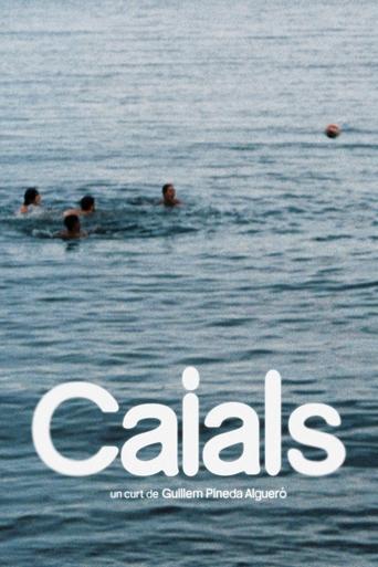 Poster of Caials