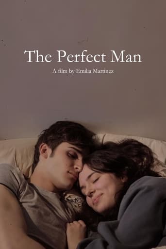 Poster of The Perfect Man