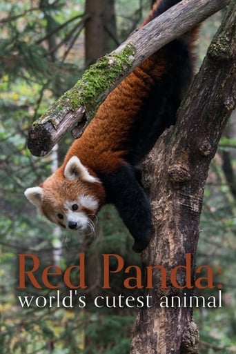 Poster of Red Panda: World's Cutest Animal