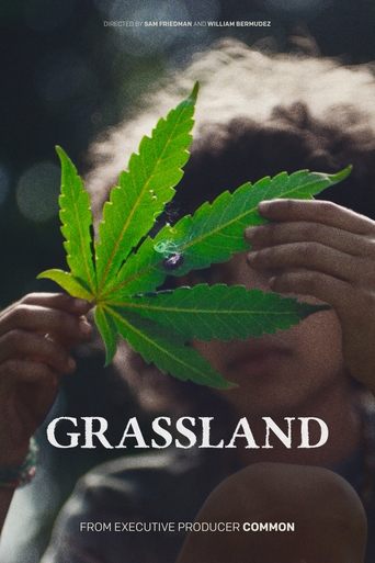 Poster of Grassland