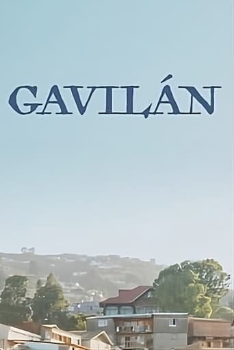 Poster of Gavilàn