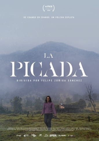 Poster of La Picada