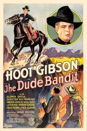 Poster of The Dude Bandit