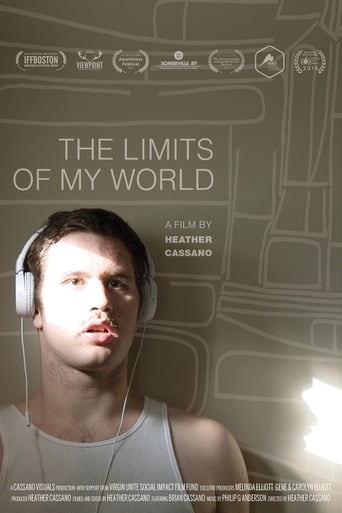 Poster of The Limits of My World