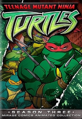 Portrait for Teenage Mutant Ninja Turtles - Season 3