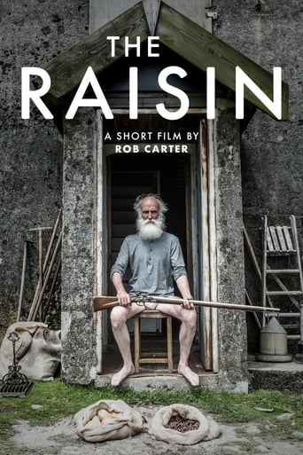 Poster of The Raisin