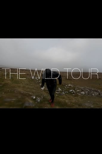 Poster of The Wild Tour