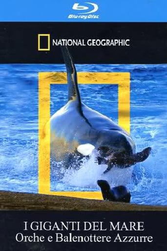 Poster of Orca Killing School