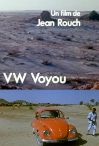 Poster of VW-Voyou