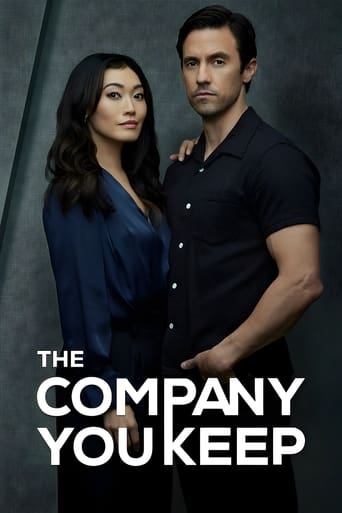 Poster of The Company You Keep