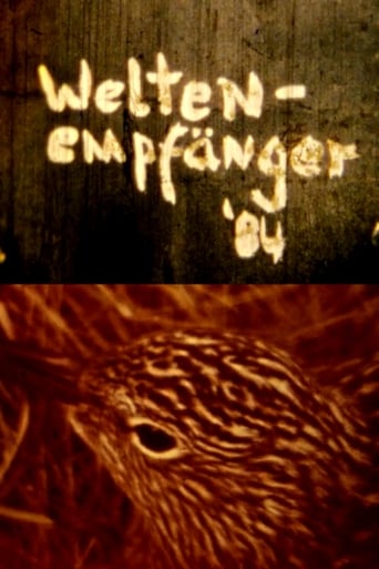 Poster of Weltenempfänger