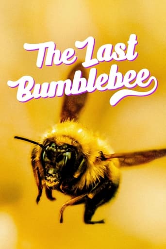 Poster of The Last Bumblebee