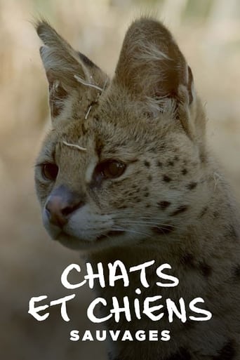 Poster of Chats et chiens sauvages