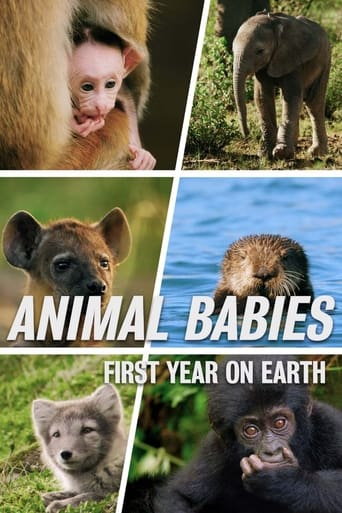 Portrait for Animal Babies: First Year On Earth - Season 1