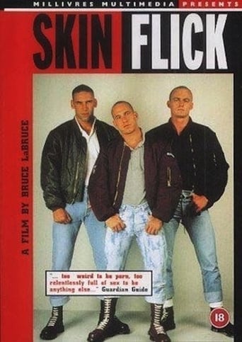 Poster of Skin Flick