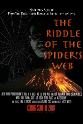 Poster of The Riddle Of The Spider's Web