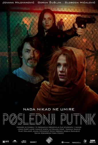 Poster of The Last Passenger