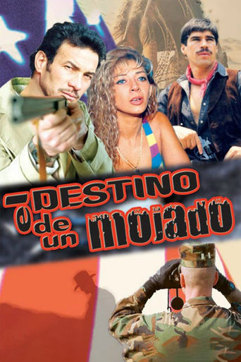 Poster of El destino de un mojado