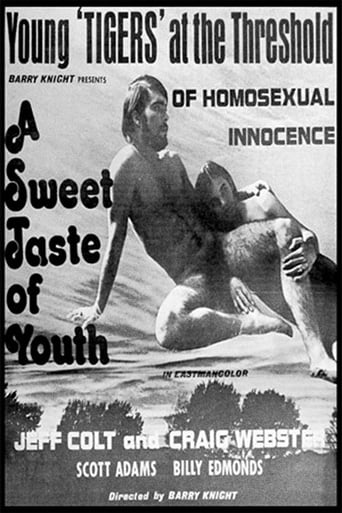 Poster of A Sweet Taste of Youth