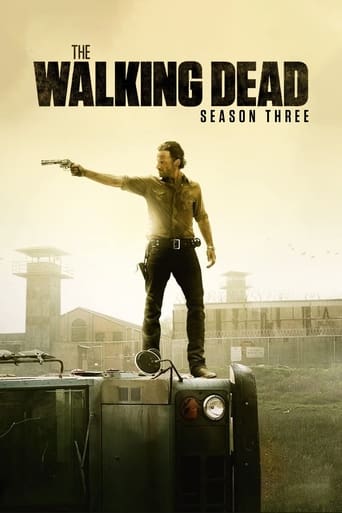 Portrait for The Walking Dead - Season 3