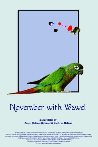 Poster of November with Wawel