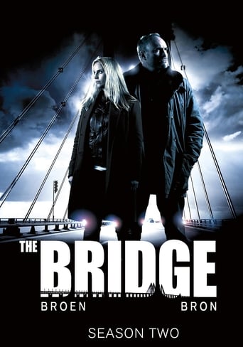 Portrait for The Bridge - Season 2