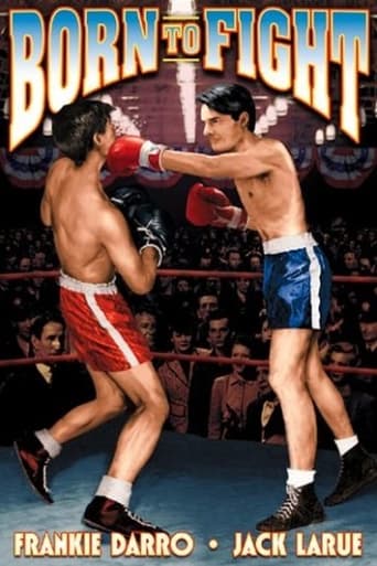 Poster of Born to Fight