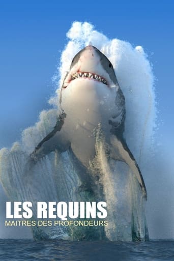 Poster of Les requins, maîtres des profondeurs