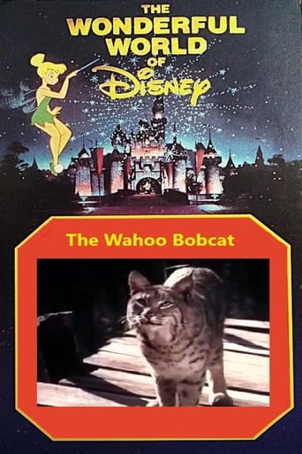 Poster of The Wahoo Bobcat