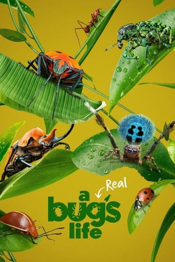 Portrait for A Real Bug's Life - Season 1