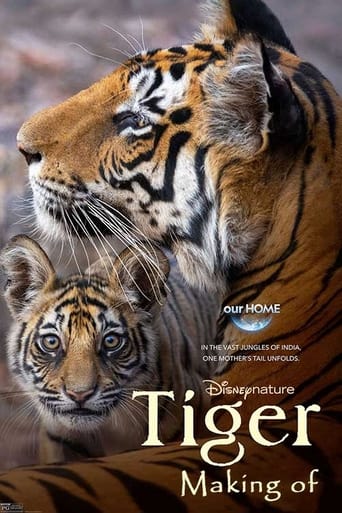 Poster of Tigres : Le Making of