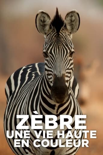 Poster of Zebre, une vie haute en couleur