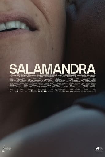 Poster of The Salamander