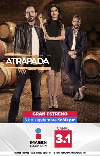 Poster of Atrapada