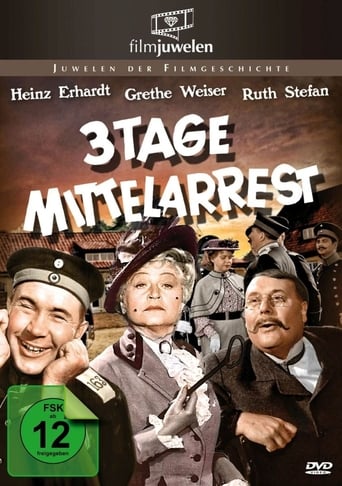 Poster of Drei Tage Mittelarrest