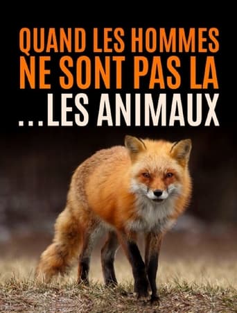 Poster of Quand l’homme n’est pas là... les animaux dansent !