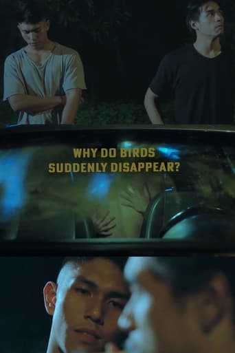 Poster of Why Do Birds Suddenly Disappear