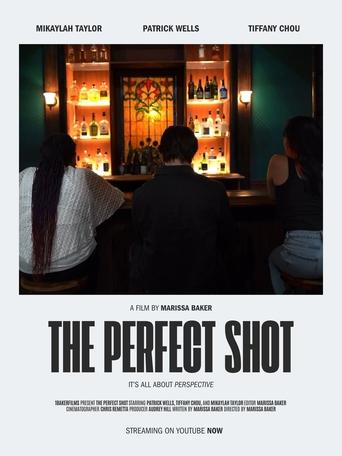 Poster of The Perfect Shot