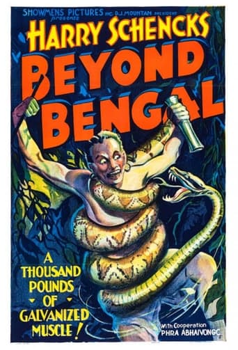 Poster of Beyond Bengal