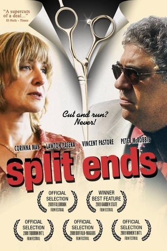 Poster of Split Ends