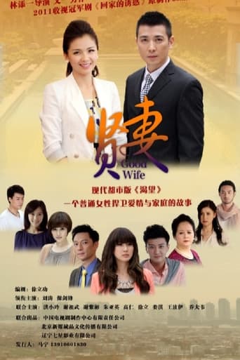 Poster of Good Wife