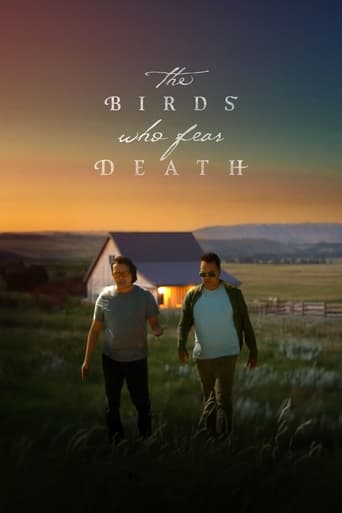 Poster of The Birds Who Fear Death