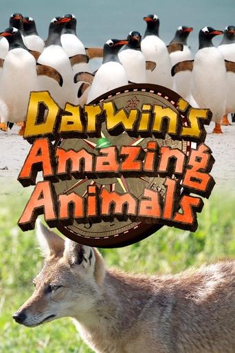 Poster of Darwin's Amazing Animals