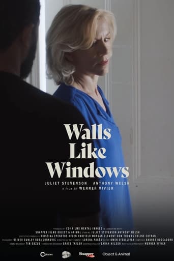 Poster of Walls Like Windows