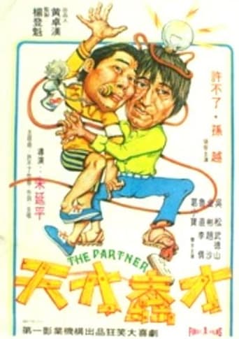 Poster of The Partner